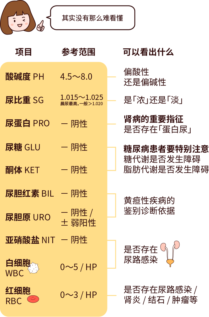 排尿黄、异味大，可能是身体在报警！